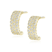 Silver (925) elegant gold-plated earrings with zirconias