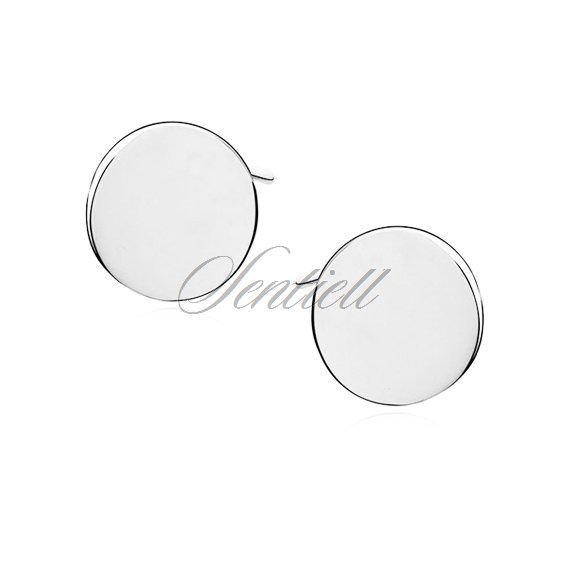 Silver (925) earrings - circles