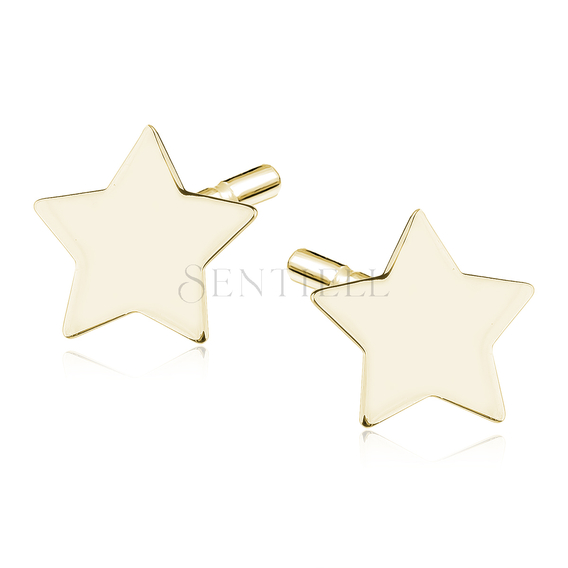 Silver (925) earrings stars