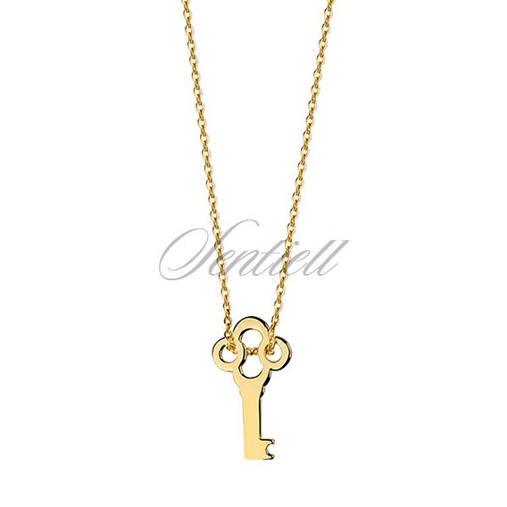 Silver (925) necklace with gold-plated key