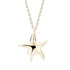 14K Yellow gold (e-coating)
