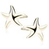 14K Yellow gold (e-coating)
