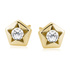 14K Yellow gold (e-coating)