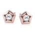 18K Rose gold (e-coating)