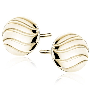 Silver (925) gold-plated earrings