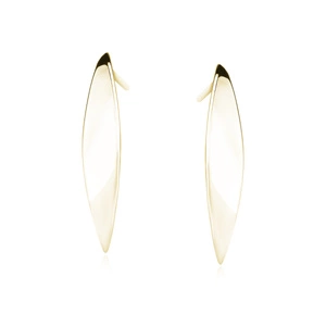 Silver (925) gold-plated earrings