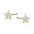 14K Yellow gold (e-coating)