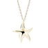 14K Yellow gold (e-coating)