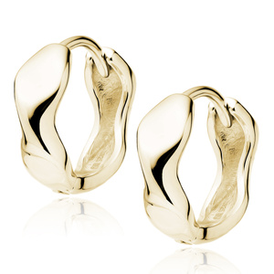 Silver (925) gold-plated earrings