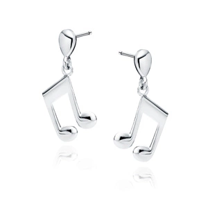 Silver (925) earrings - notes