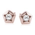 18K Rose gold (e-coating)